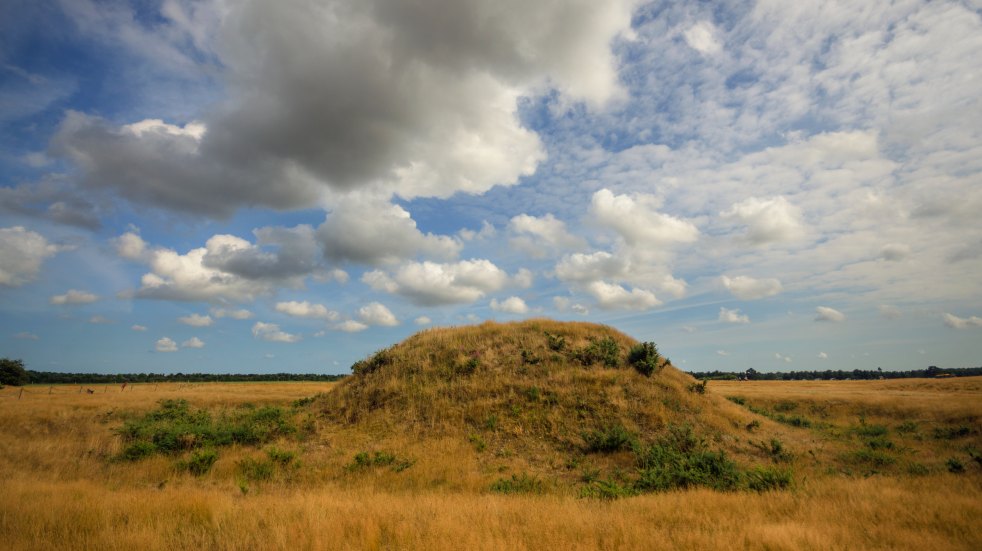 Sutton hoo